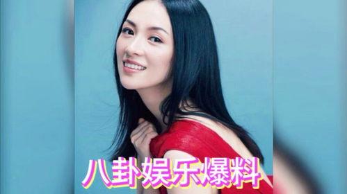 娱乐吃瓜酱明星